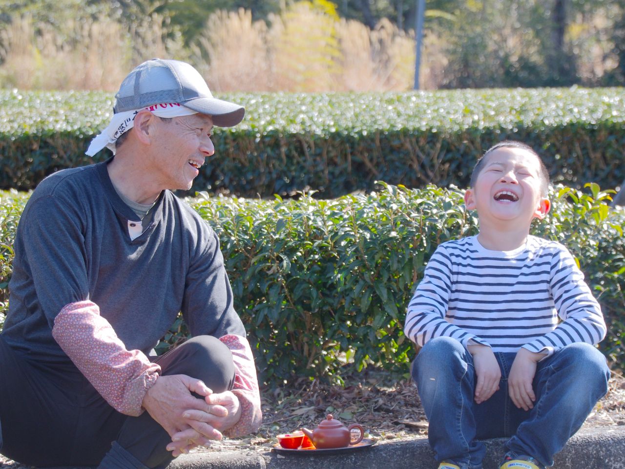 ますいさんちのお茶（4個セット）