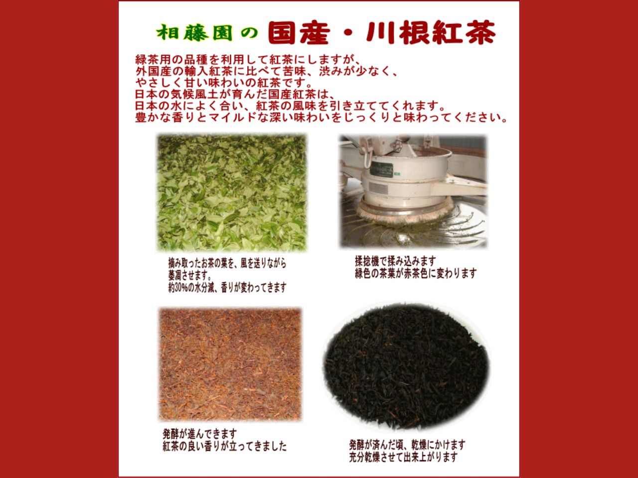 相藤園オリジナル「川根紅茶セット」