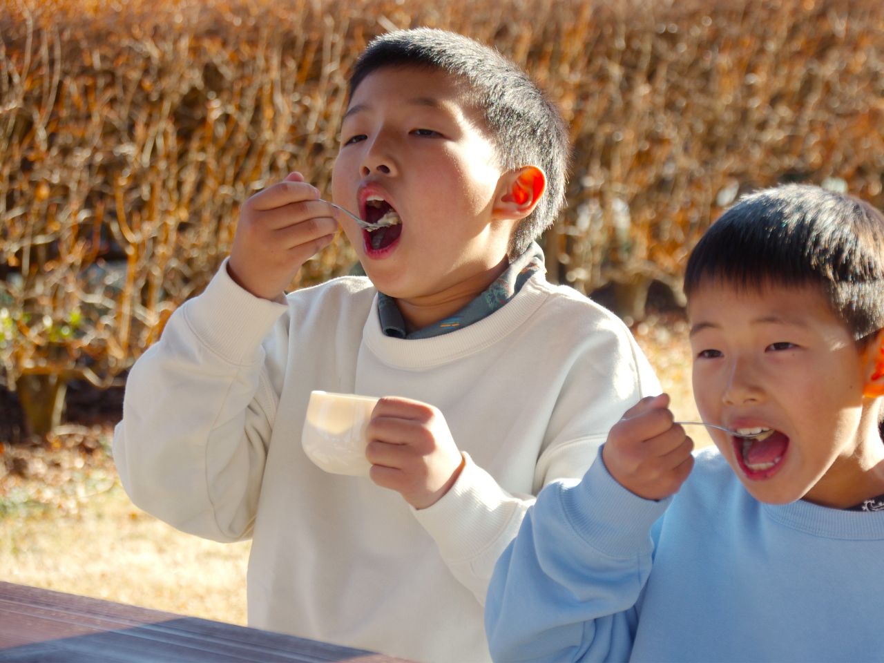 焼きいもジェラート（1バルク 2000ml）