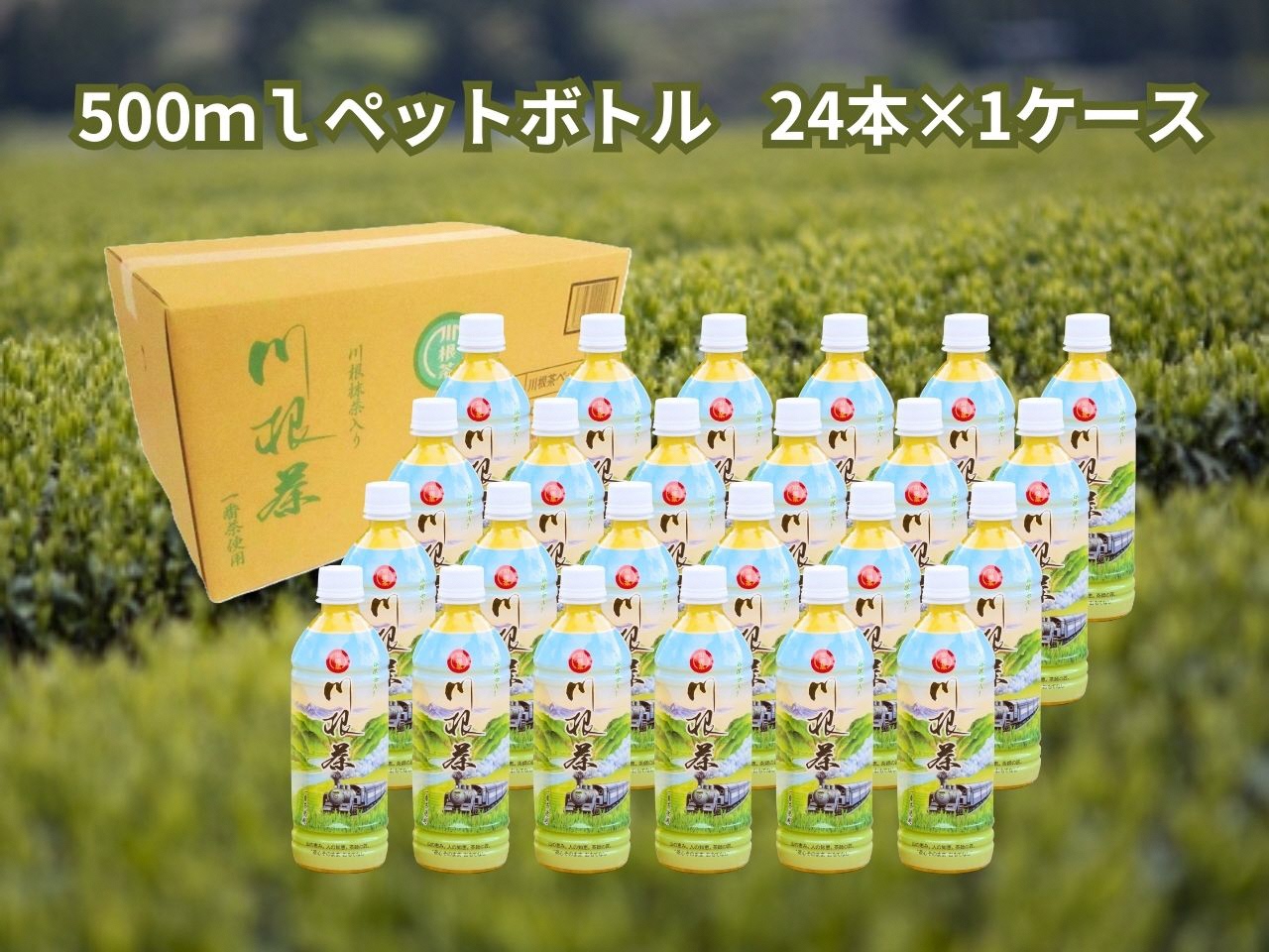 匠厳選！高級一番茶「川根茶」ペットボトル　１ケース