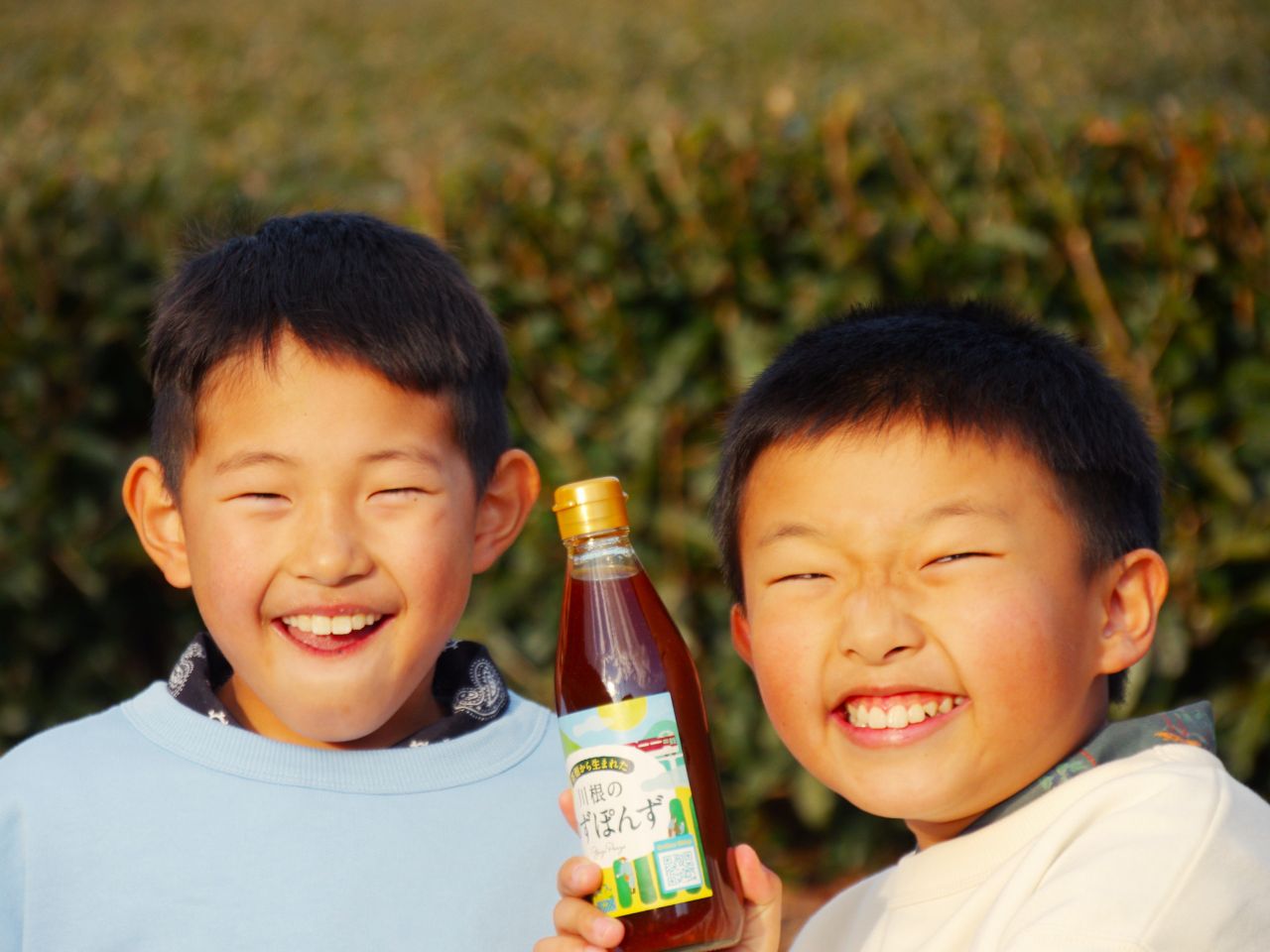 茶畑から生まれた 川根の「ゆずぽんず」