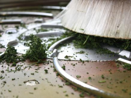 生粋川根茶澤本園 ふるさとありがとう16