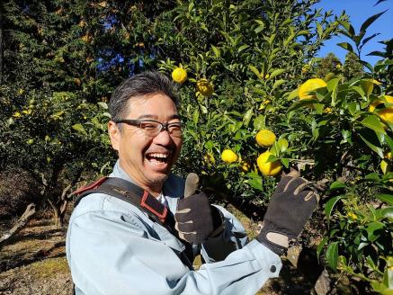 KAGYA JAPAN　エッセンシャルオイル【YUZU】（5ml×1本セット）