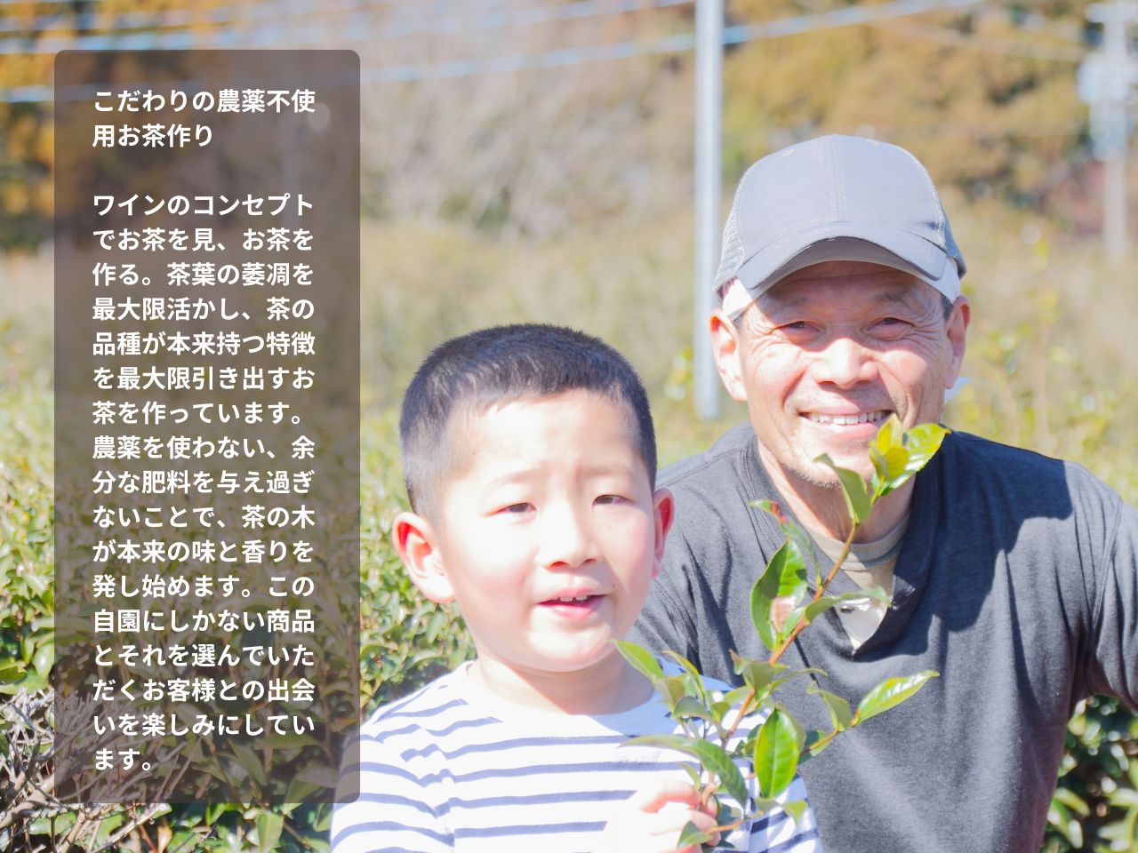 ますいさんちのお茶（4個セット）