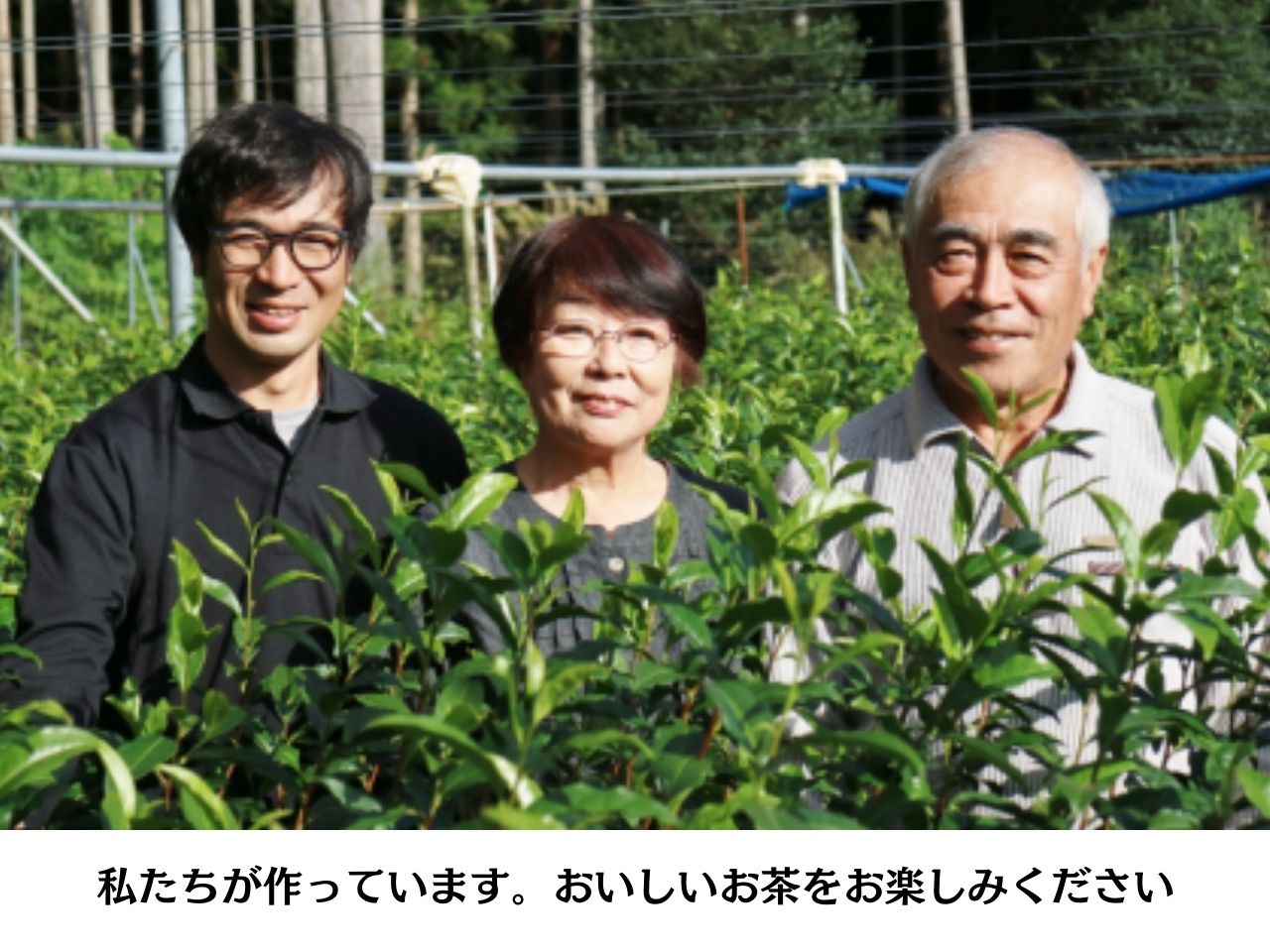 相藤園オリジナル「川根紅茶セット」