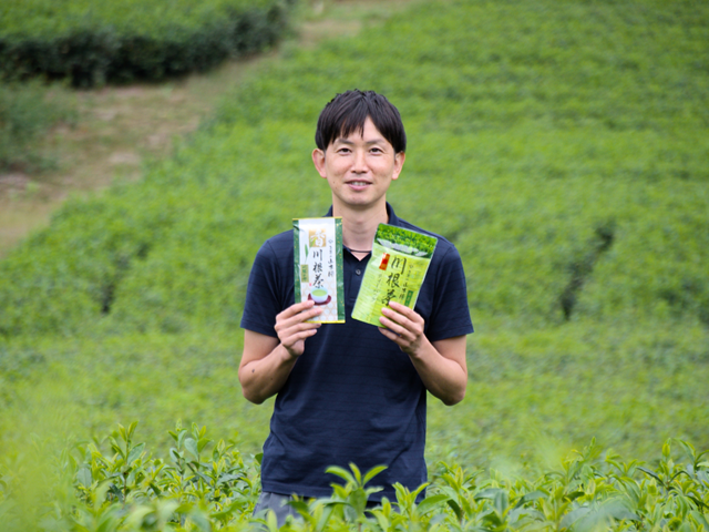 ３種　川根茶ティーバッグ飲み比べセット