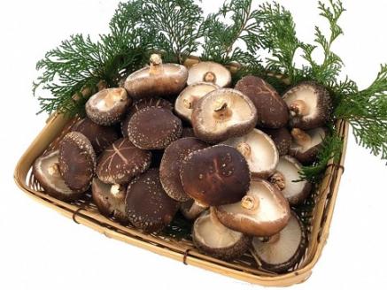 肉厚　原木栽培生しいたけ（900g）