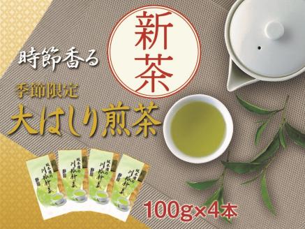 新茶 静岡川根茶大走り新茶100g×４本