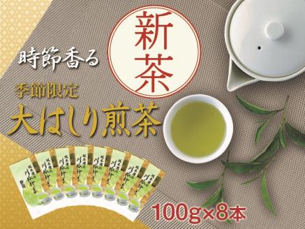 新茶 静岡川根茶大走り新茶100g×8本