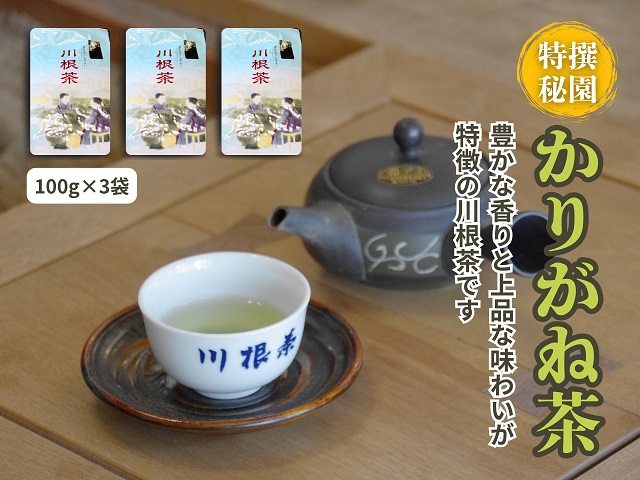 豊かな香り 上品な味わい「川根茶 特撰秘園かりがね」100g×3袋