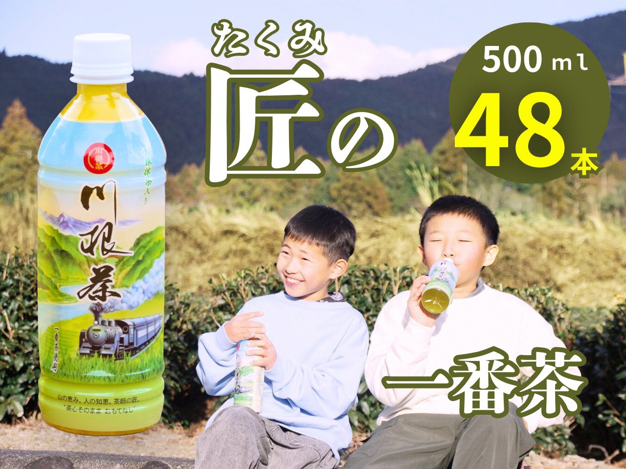匠厳選！高級一番茶「川根茶」ペットボトル　２ケース