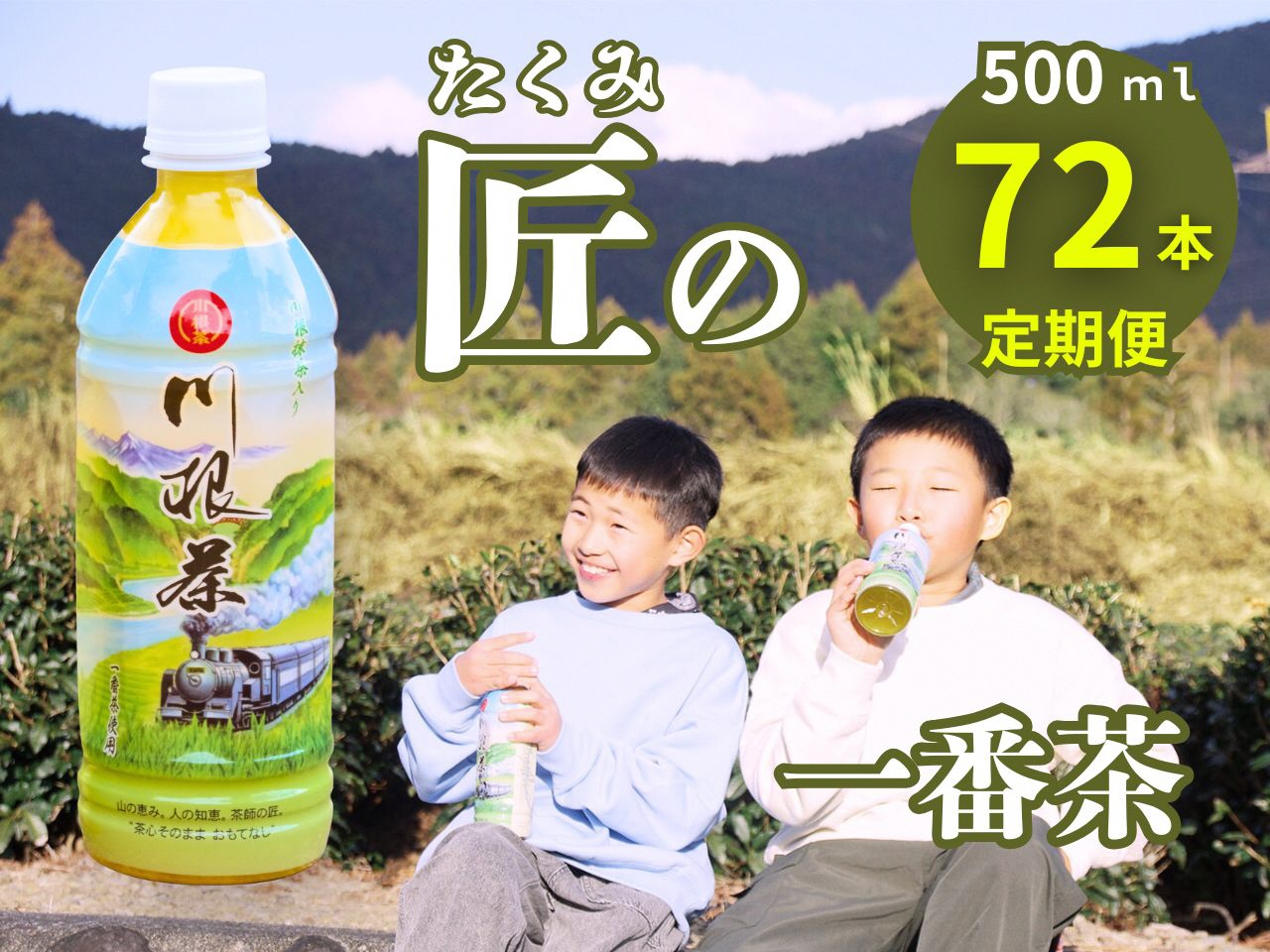 【定期便】匠厳選！高級一番茶「川根茶」ペットボトル　３ケース