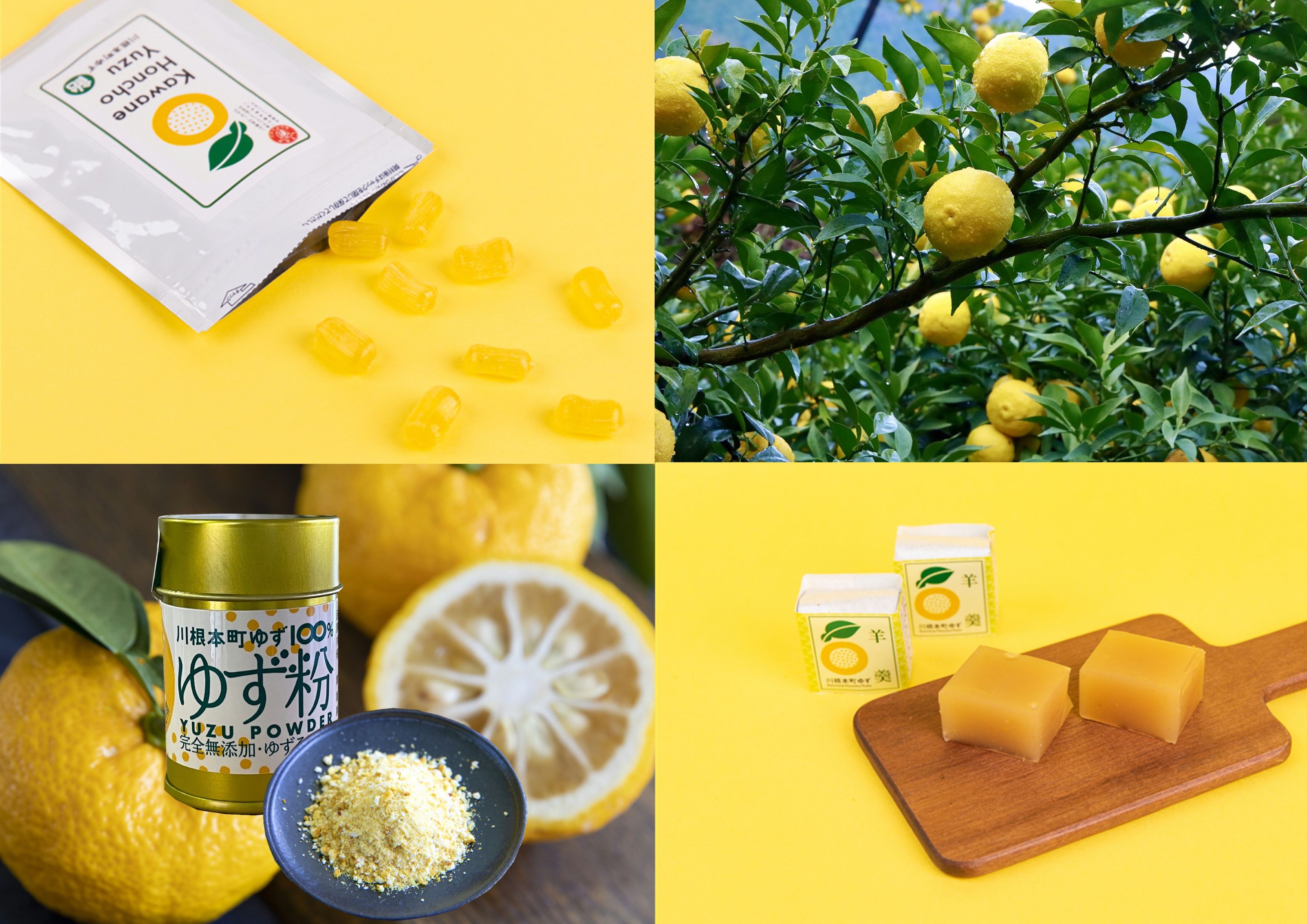 川根本町香り高いゆずセットB