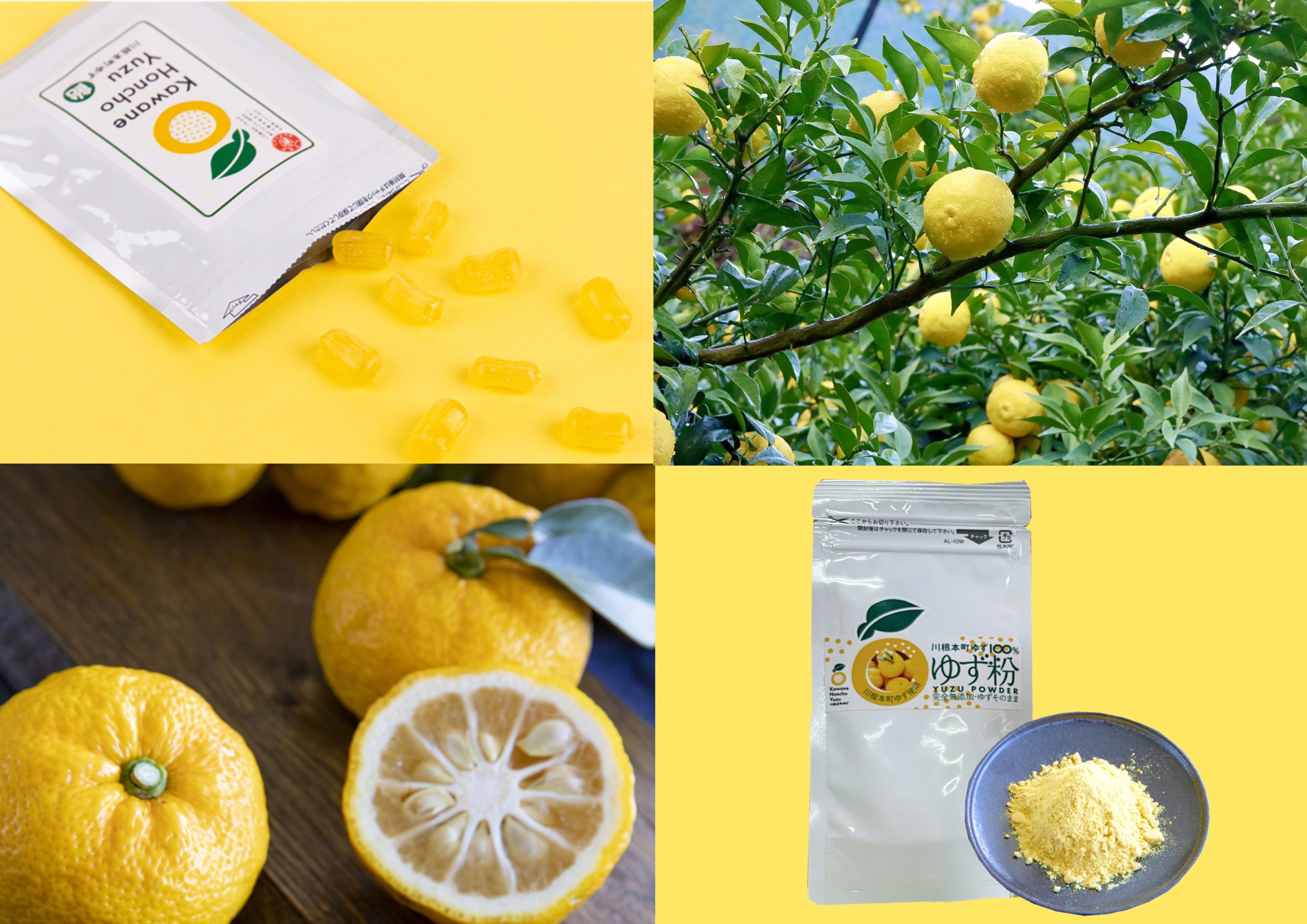 川根本町香り高いゆずセットC