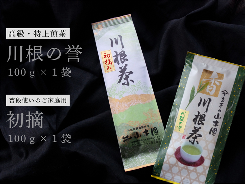厳選川根茶 ２種おすすめセット
