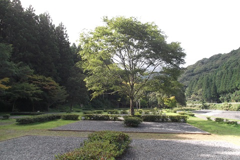 三ツ星オートキャンプ場宿泊券