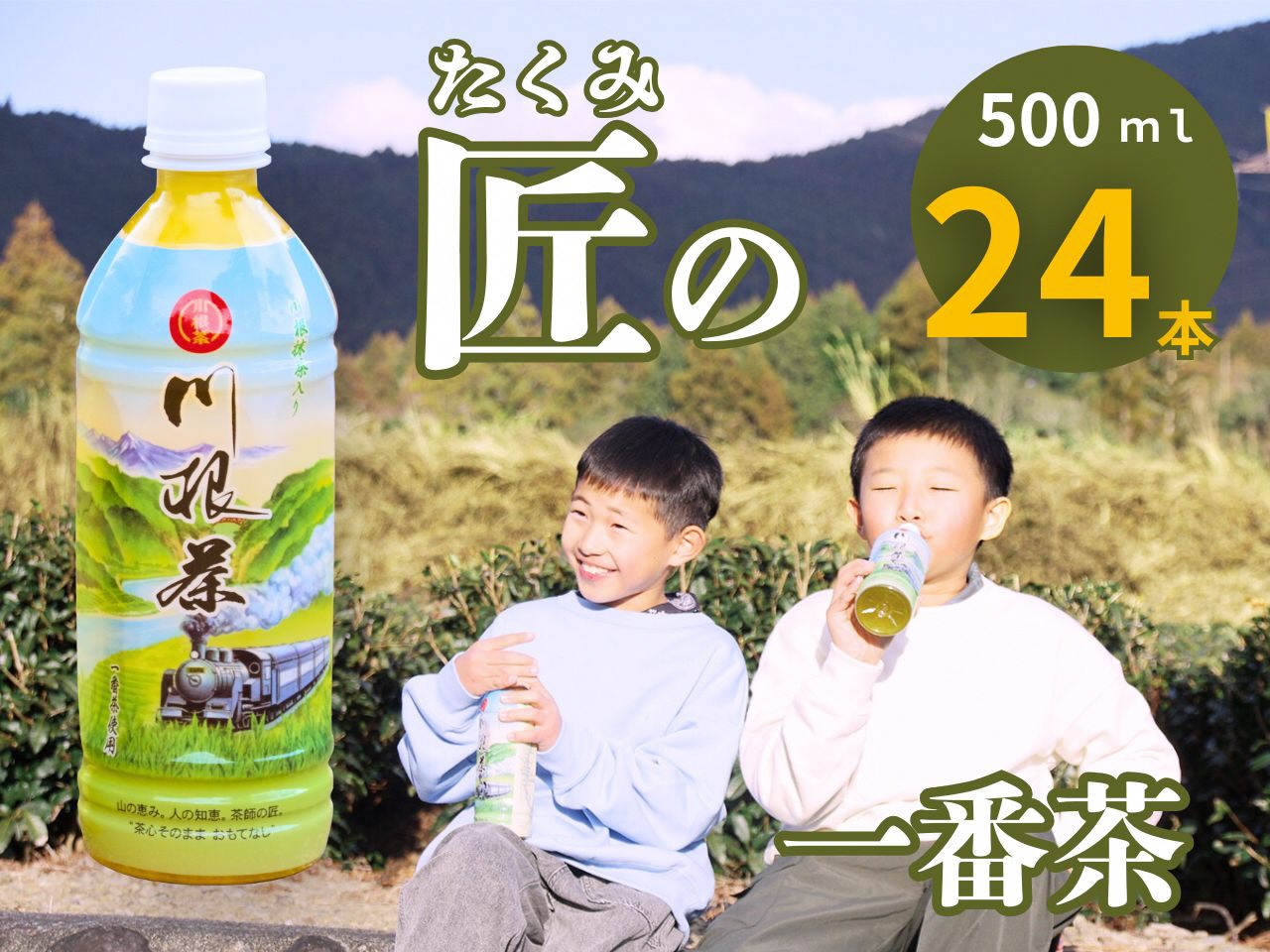 匠厳選！高級一番茶「川根茶」ペットボトル　１ケース