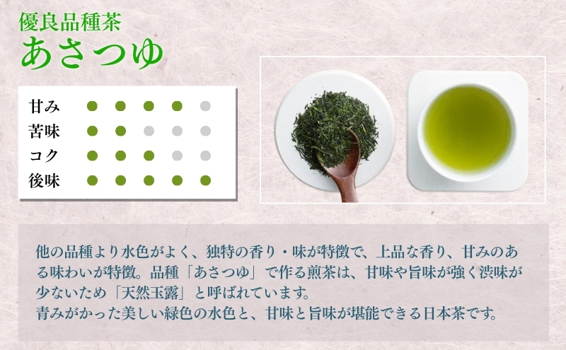 上煎茶飲み比べセット（深山・ふくよ香・アサツユ・サエミドリ・掛川茶　各１００ｇ）