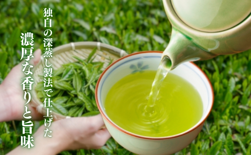 森の深蒸し茶 ふくよ香 100g入 5袋 飲料類 お茶 煎茶 茶葉 セット 詰め合わせ お茶 茶 深蒸し茶 茶葉 緑茶 煎茶 お茶っぱ 静岡のお茶 飲料 飲み物 ドリンク 静岡 静岡県 森町