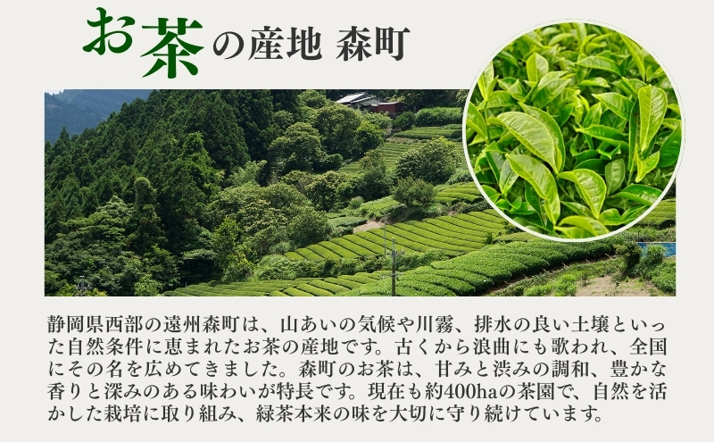 森の深蒸し茶 ふくよ香 100g入 5袋 飲料類 お茶 煎茶 茶葉 セット 詰め合わせ お茶 茶 深蒸し茶 茶葉 緑茶 煎茶 お茶っぱ 静岡のお茶 飲料 飲み物 ドリンク 静岡 静岡県 森町