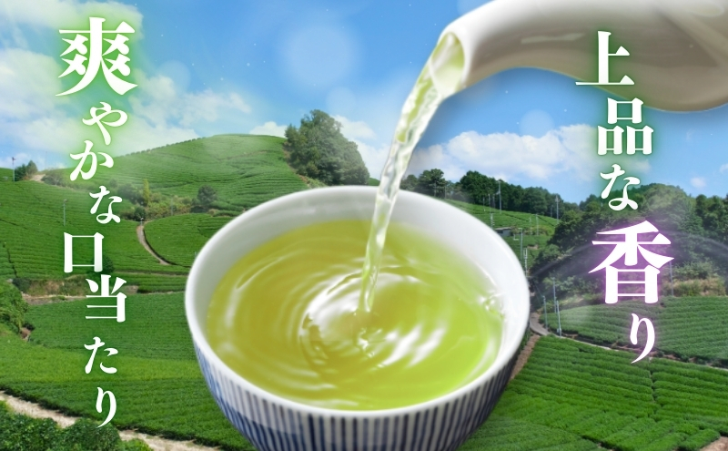 優良品種茶「あさつゆ」１００ｇ入　５袋