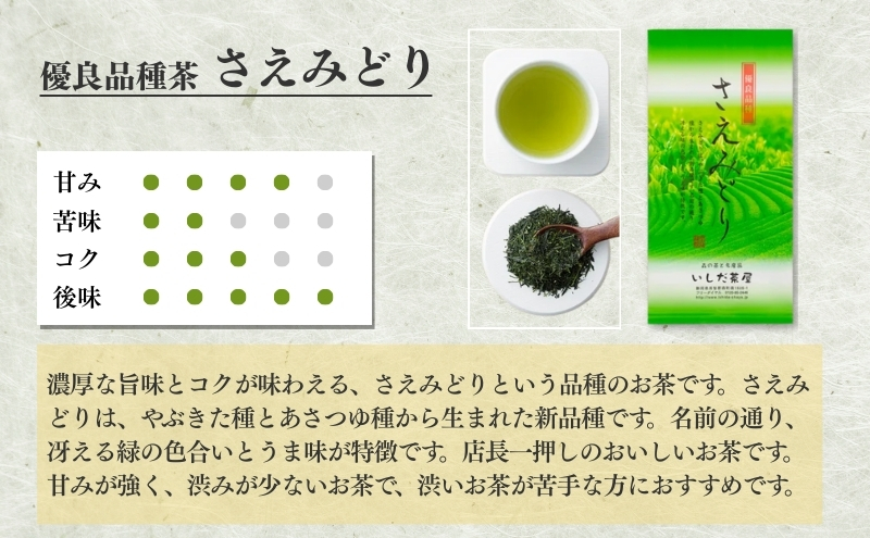 優良品種茶 さえみどり 100g入 5袋 飲料類 お茶 煎茶 日本茶 セット 詰め合わせ 茶 茶葉 静岡茶 緑茶 お茶っぱ 静岡のお茶 飲料 飲み物 ドリンク ギフト 贈答用 贈り物 プレゼント 静岡 静岡県 森町
