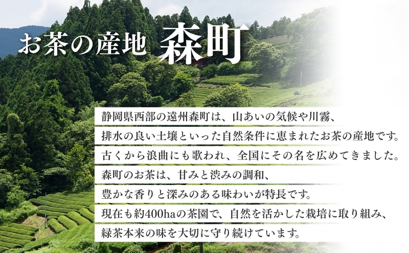 優良品種茶 さえみどり 100g入 5袋 飲料類 お茶 煎茶 日本茶 セット 詰め合わせ 茶 茶葉 静岡茶 緑茶 お茶っぱ 静岡のお茶 飲料 飲み物 ドリンク ギフト 贈答用 贈り物 プレゼント 静岡 静岡県 森町