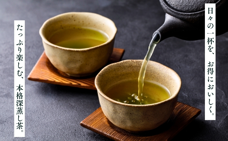 訳あり 深蒸し茶 100g 10袋 セット 詰め合わせ お茶 茶 日本茶 深蒸し茶 茶葉 静岡茶 緑茶 煎茶 お茶っぱ 訳アリ 静岡 静岡県 森町