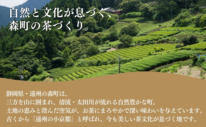訳あり 深蒸し茶 100g 10袋 セット 詰め合わせ お茶 茶 日本茶 深蒸し茶 茶葉 静岡茶 緑茶 煎茶 お茶っぱ 訳アリ 静岡 静岡県 森町
