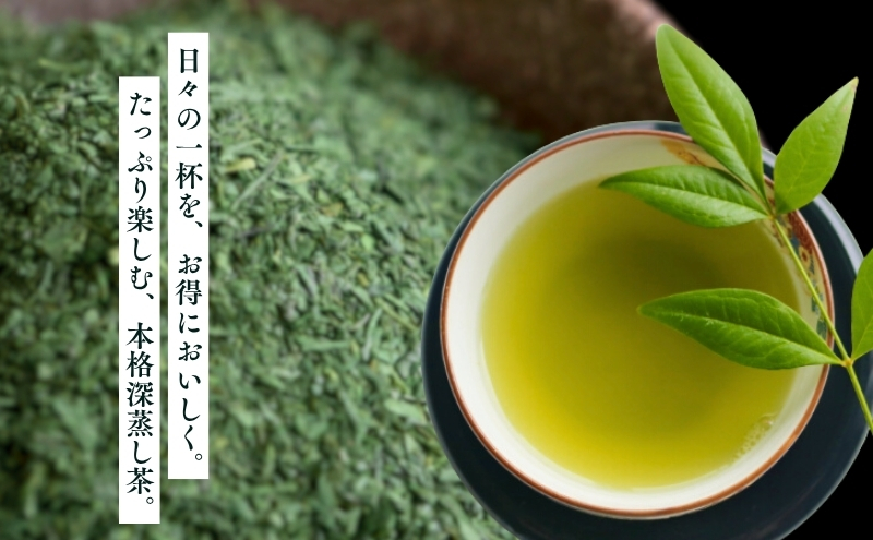 訳あり 静岡茶 100g 5袋 セット 詰め合わせ お茶 茶 日本茶 深蒸し茶 茶葉 緑茶 煎茶 お茶っぱ 静岡のお茶 飲料 飲み物 ドリンク 訳アリ 静岡 静岡県 森町