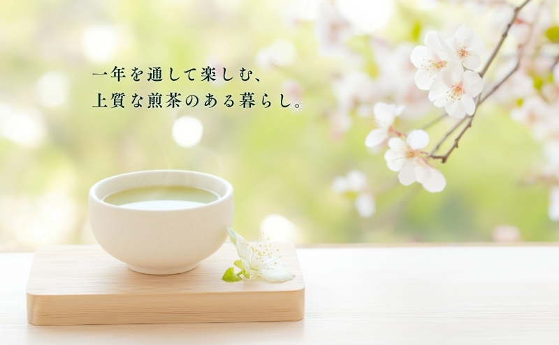 特選 定期便 12ヶ月 四季の茶だより 日本茶 100g 3本 セット 詰め合わせ お茶 茶 深蒸し茶 茶葉 緑茶 煎茶 お茶っぱ 静岡のお茶 飲料 飲み物 ドリンク 静岡 静岡県 森町 定期 12回
