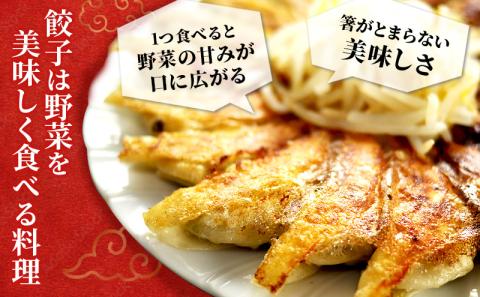 冷凍花餃子110個（22個入×5袋）5か月連続お届け