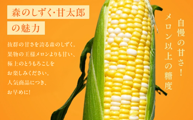 先行予約 とうもろこし 10～14本入り 田中農園 甘い 野菜 夏野菜 旬 夏 高糖度 産地直送 旬の野菜 季節の野菜 おやつ コーン 森のしずく ロイシーコーン 甘太郎 先行 予約 2026 2026年 静岡 静岡県 森町