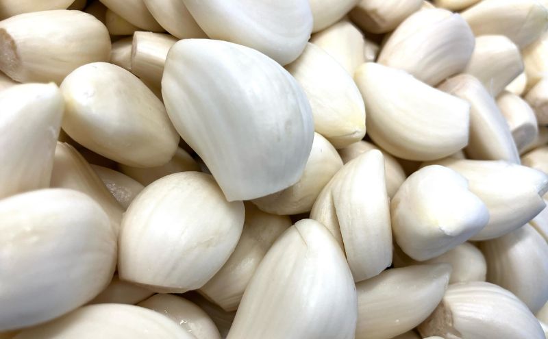 にんにく餃子110個(22個入×5袋)2ヶ月毎6回お届け