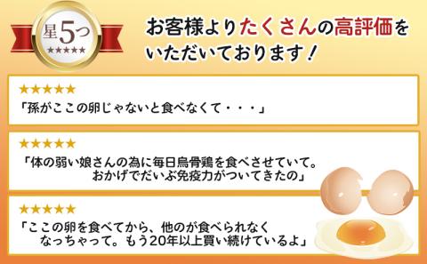 高級卵 定期便 12ヶ月 烏骨鶏 卵 20個 入り 烏骨鶏の卵 朝食 卵かけご飯 葉酸 美容 健康 産地直送 生で食べて欲しい うこっけい たまご 玉子 冷蔵 冷蔵配送 遠州森町 森町 静岡 静岡県 定期 お楽しみ 12回