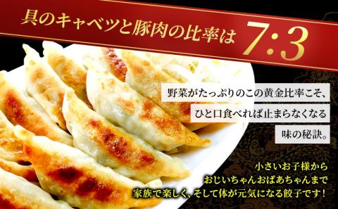 餃子 定期便 12ヶ月 冷凍 花ぎょうざ 110個（22個入×5袋） 冷凍餃子 焼き餃子 冷凍食品 おかず 惣菜 国産 中華 中華料理 点心 ご当地 ご当地グルメ ぎょうざ ギョーザ 冷凍配送 静岡 静岡県 森町 定期 12回