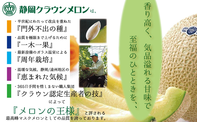 クラウンメロン中玉（白等級）１玉 果物類 メロン青肉 約1.