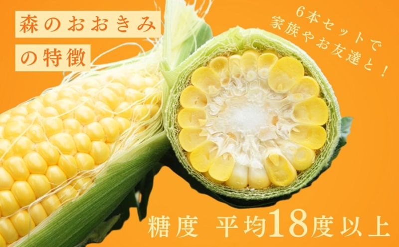 2026年産 実がぎっしり大きい 新鮮 朝どれ とうもろこし 先行予約 森のおおきみ 6本 セット 詰め合わせ 野菜 JGAP認証 しずおか認証取得農場 先行 予約 2026 2026年 新鮮野菜 静岡 静岡県 森町