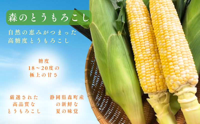 【2026年産】とうもろこし 先行予約 森のとうもろこし 10～11本 しんちゃん農園 大人気 甘い 野菜 夏野菜 旬 夏 高糖度 産地直送 旬の野菜 季節の野菜 おやつ 行列のできる 先行 予約 2026 2026年 静岡 冷蔵