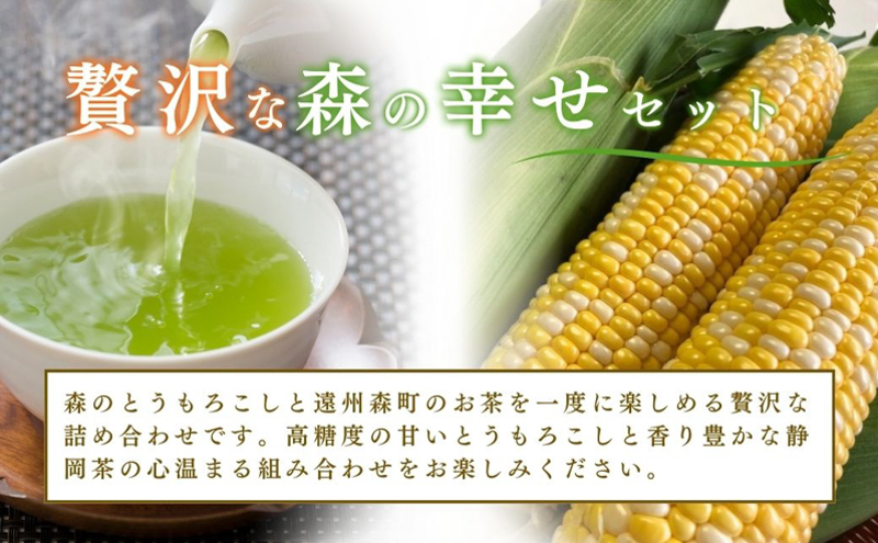 【2026年産】先行予約 とうもろこし 新茶 セット 詰め合わせ しんちゃん農園 甘い 森のとうもろこし 8～9本 緑茶 1パックトウモロコシ 茶 日本茶 茶葉 静岡茶 煎茶 お茶っぱ 先行 予約 2026 2026年 静岡 森町