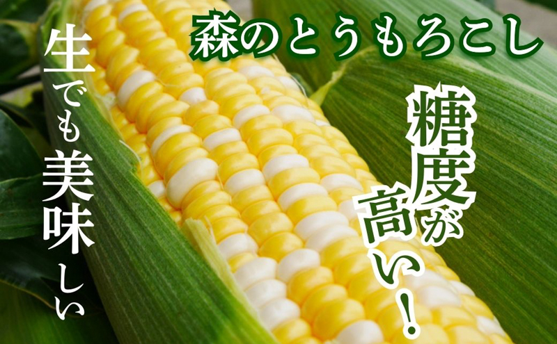 【テレビで紹介されました！】とうもろこし 先行予約 森のとうもろこし 12～14本 甘い 野菜 夏野菜 旬 夏 高糖度 産地直送 旬の野菜 季節の野菜 おやつ 行列のできる コーン 先行 予約 2026年 静岡 森町 冷蔵 冷蔵配送