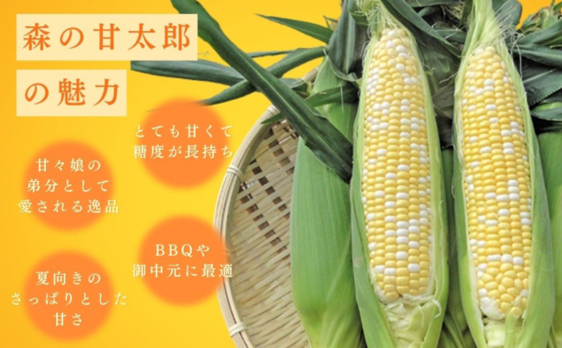 とうもろこし 先行予約 森の甘太郎 12～14本 朝採り 森のとうもろこし 朝どれ 甘い 野菜 夏野菜 旬 夏 産地直送 旬の野菜 季節の野菜 新鮮野菜 おやつ コーン 先行 予約 2025 2025年 静岡 森町 冷蔵 冷蔵配送