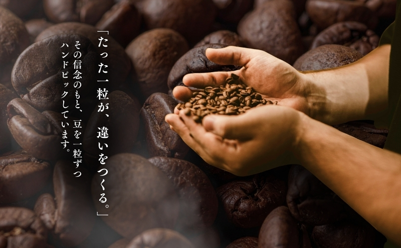 森の珈琲とスイートコーンのマリアージュ 自家焙煎珈琲屋百珈のコーヒー豆と森のとうもろこしのテリーヌ 自家焙煎珈琲豆とスイートコーン菓子のセット 珈琲豆100gと焼き菓子の詰め合わせ