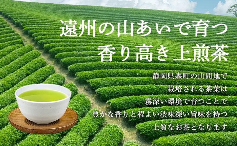 森の茶上煎茶 かおり 100g×5袋 茶 お茶 緑茶 煎茶 茶葉 森町 静岡県