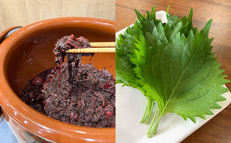 花餃子(22個入×2袋)と梅しそ餃子(22個入×2袋)のセット