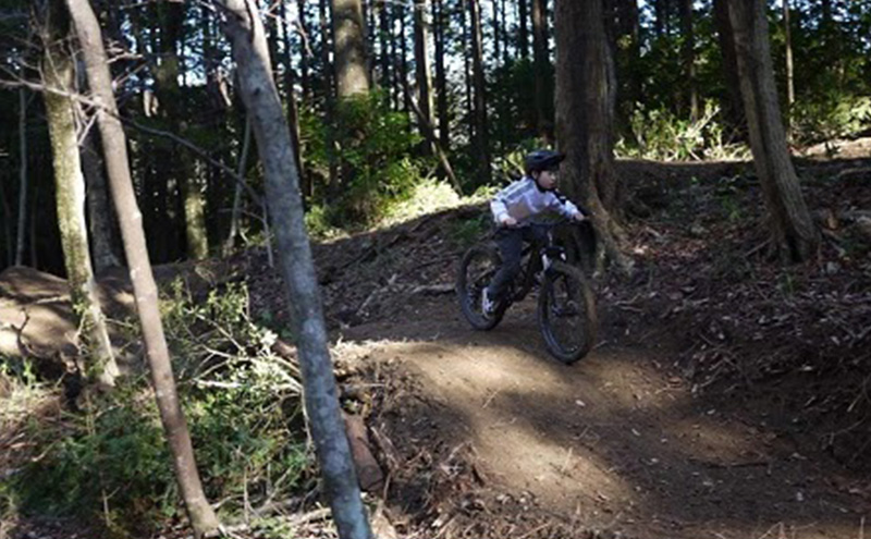 ミリオンペタルバイクパーク 利用券 5回分