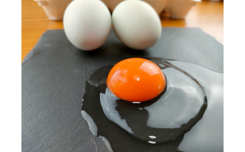 幸せの青い卵 アローカナ 20個 セット 詰め合わせ 青い卵 珍しい さっぱり 臭み オレンジ ゆで卵 生卵 美味しい 卵かけごはん たまご 卵 玉子 卵かけご飯 TKG 鶏卵 高級卵 静岡 静岡県 森町