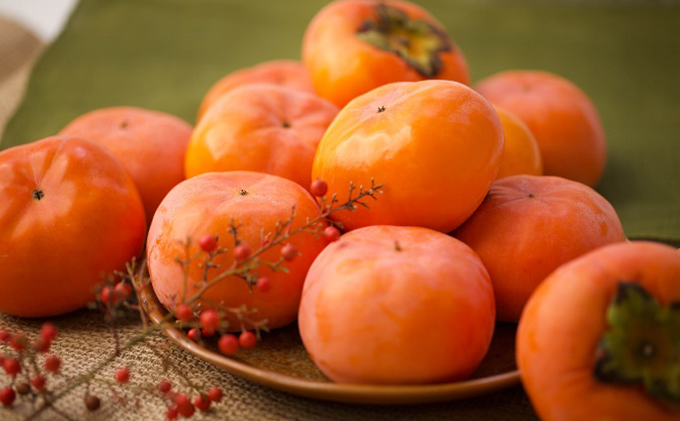 森の治郎柿 バラ詰め（約5kg） 果物類 フルーツ デザート 丹精 特化産品 高糖度 甘い 食感 好評 自信 完熟 美味しい