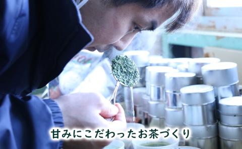 濃旨緑茶 ティーバッグ 6袋 (5g×25ヶ入×6) セット 詰め合わせ 緑茶 水出し緑茶 お茶 茶 日本茶 深蒸し茶 茶葉 静岡茶 煎茶 お茶っぱ 粉茶 静岡のお茶 飲料 飲み物 ドリンク ティーバック 静岡 静岡県 森町
