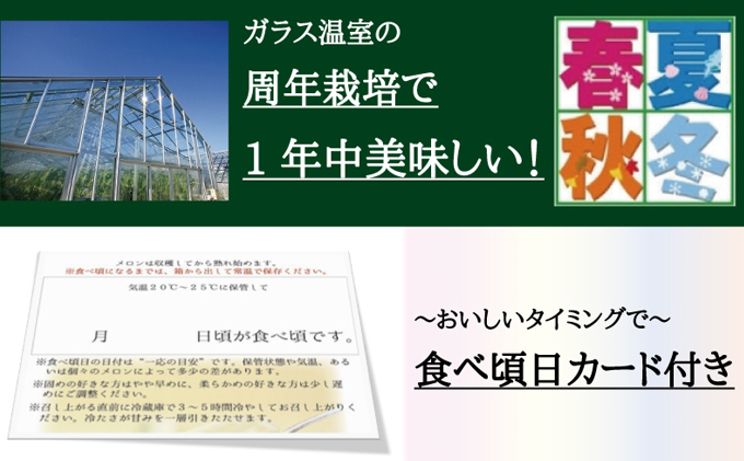 クラウンメロン 定期便 6ヶ月 メロン 1玉 白等級 特大玉 1.5kg